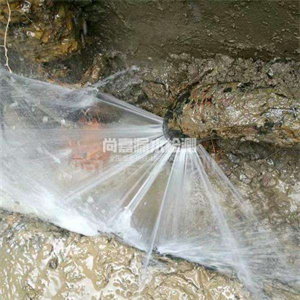 市中消防管道漏水检测